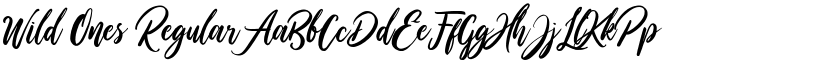 Wild Ones Regular font
