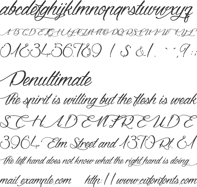 Dragon is Coming font preview