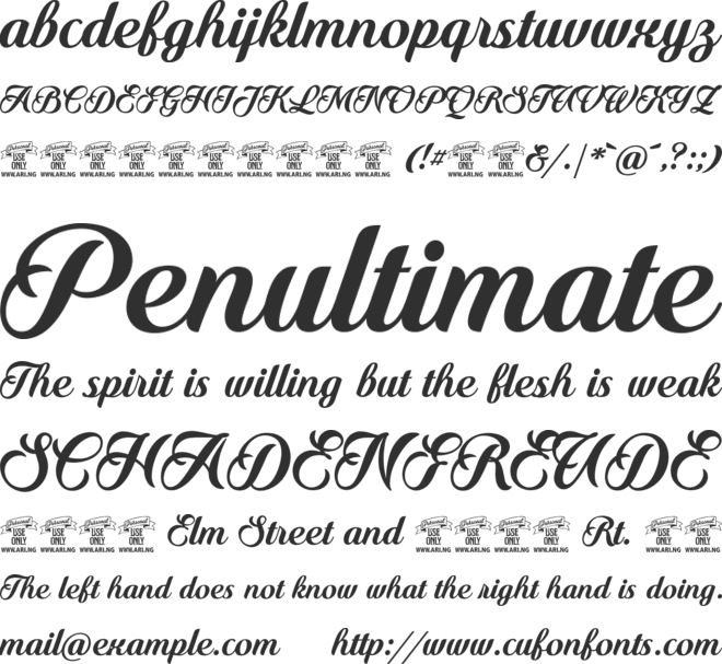 Quincho Script PERSONAL USE font preview