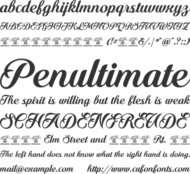 Quincho Script PERSONAL USE font preview