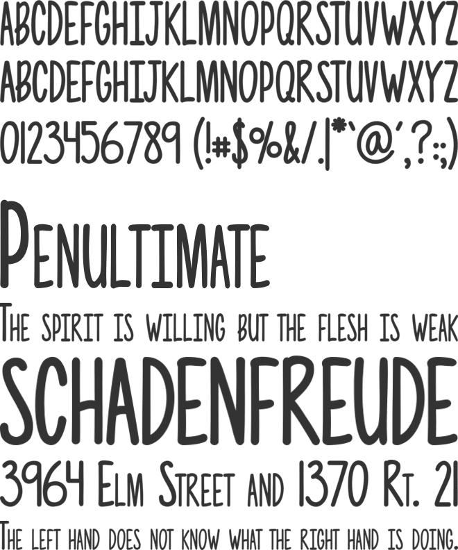 Photographs font preview