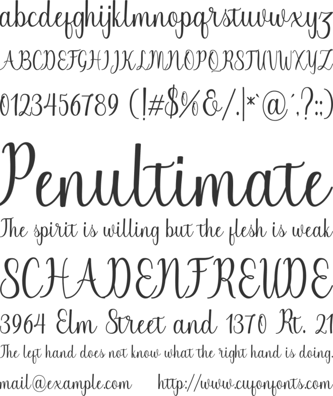 Chinchilla font preview