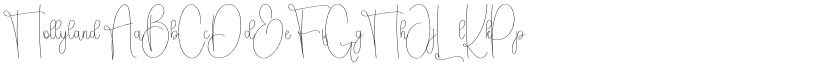 Hollyland font