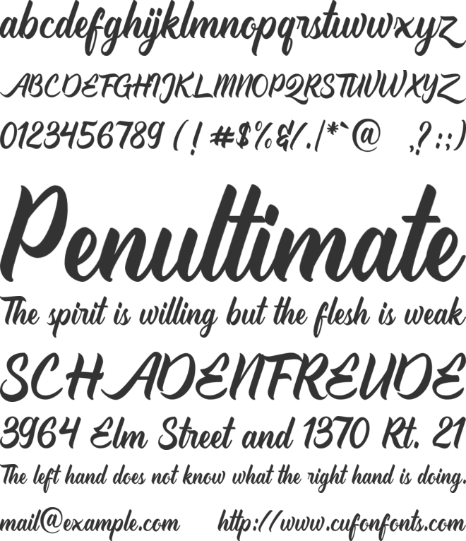 TradeMark Demo font preview