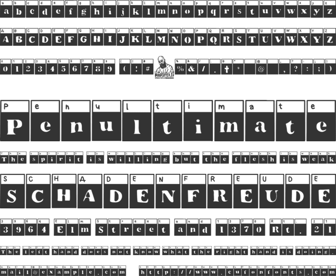 The Special Test font preview