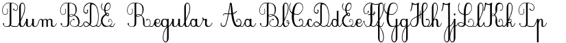 PlumBDE Regular font