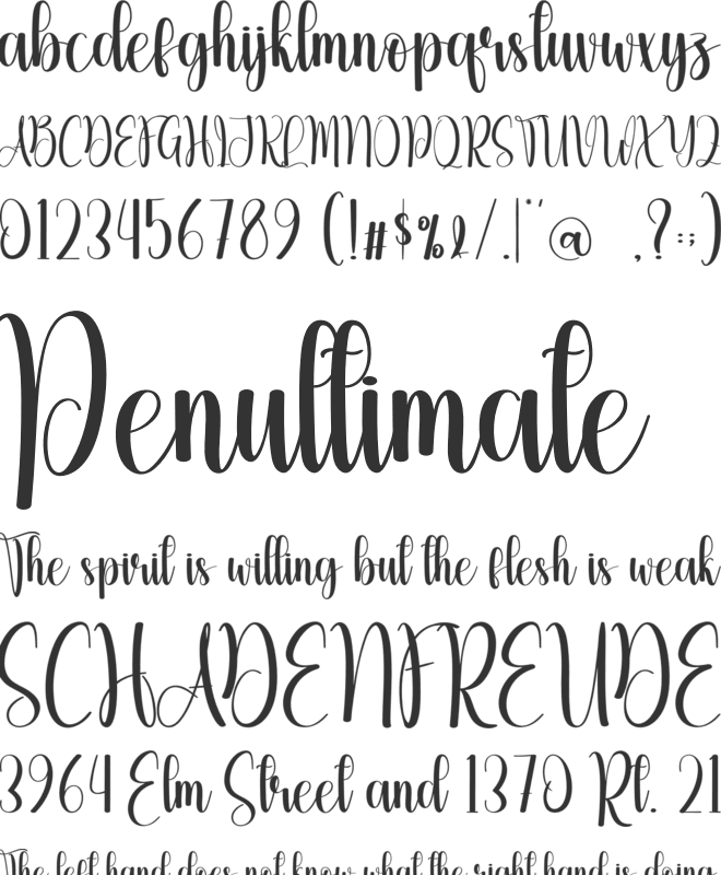 Christmas Time font preview