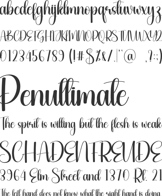 Birthday Christmas font preview