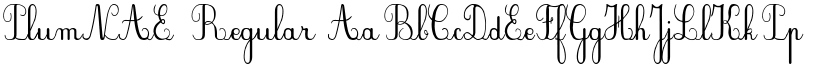 PlumNAE Regular font