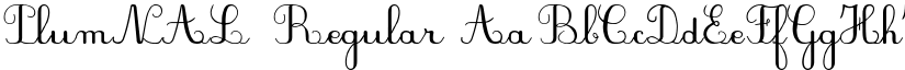 PlumNAL Regular font