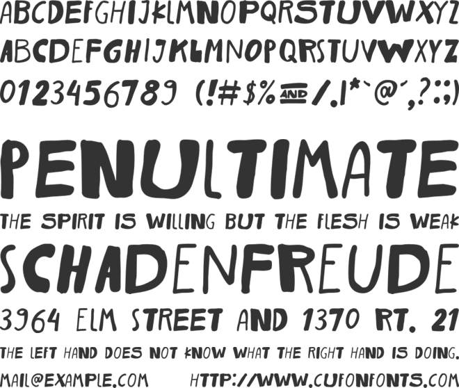 The Wild Copenhagen font preview