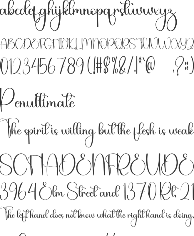 Shella font preview