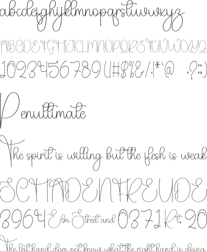 Sublimation Printing font preview