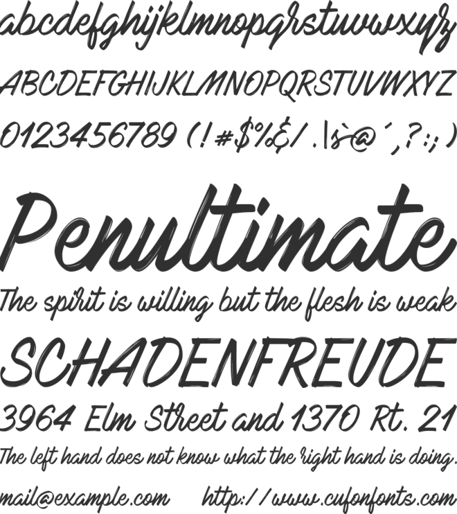 Mark My Words font preview