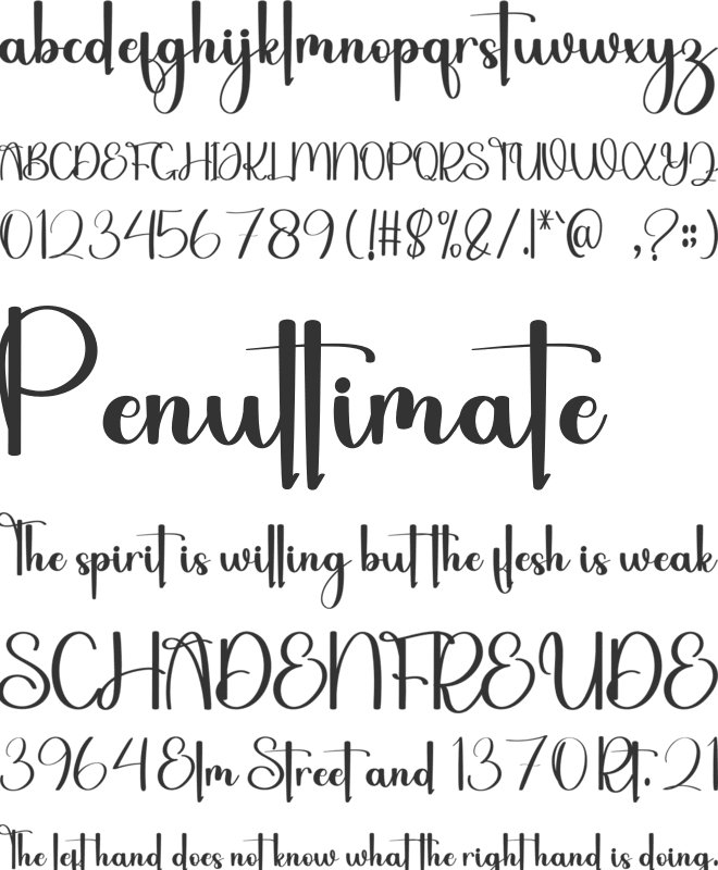 Bundling font preview