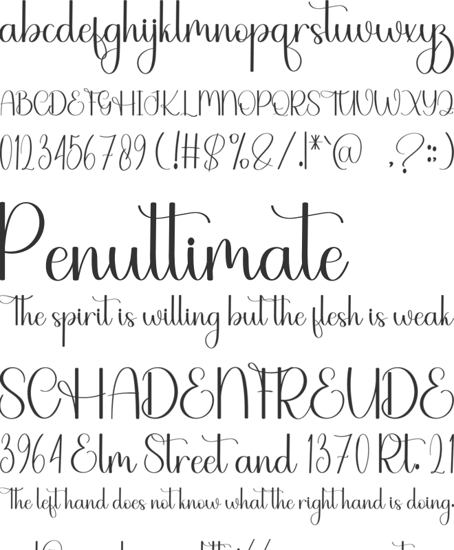 Alphabet Beautiful font preview