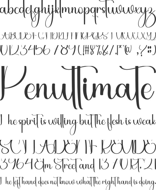 Holiday Sunday font preview