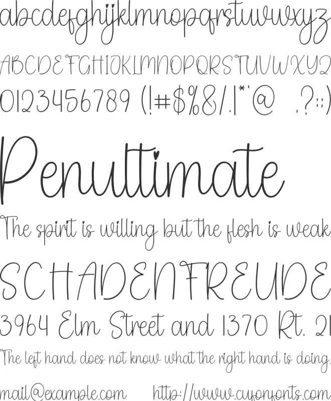 Rustic Brown font preview