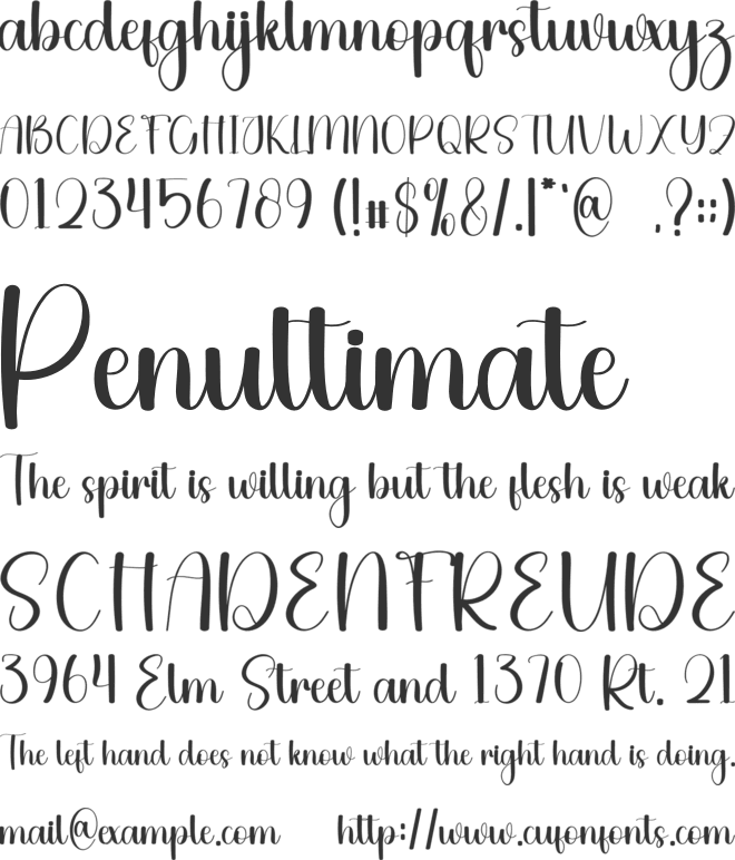 Supplier font preview