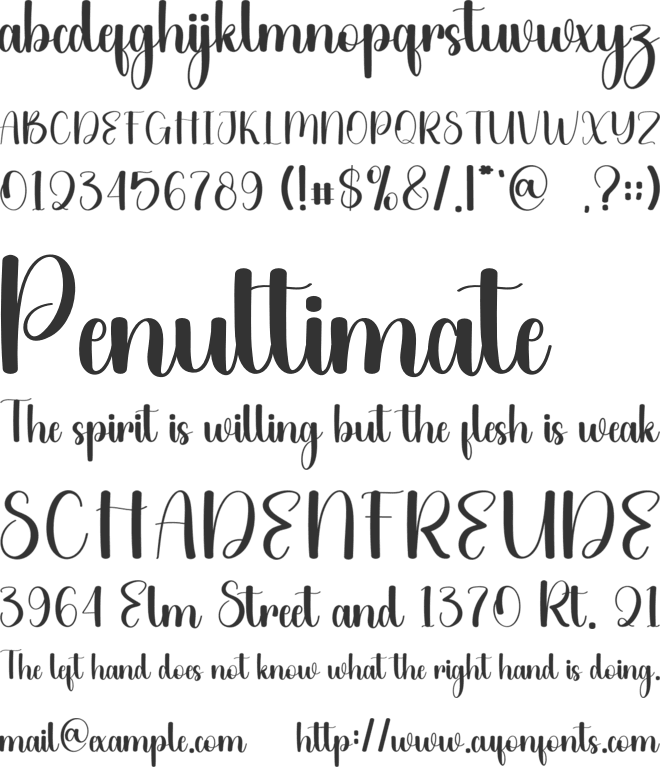 Ability font preview
