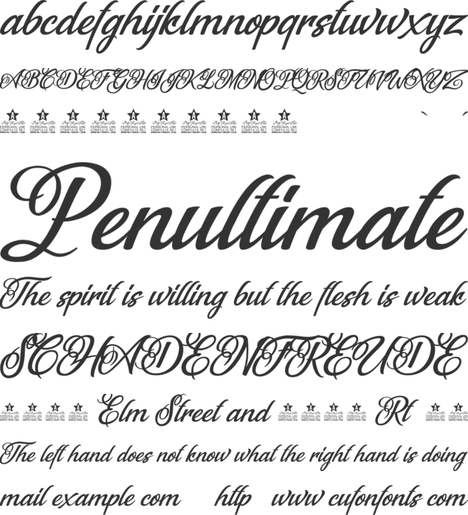 Fantastic Reason Personal Use font preview