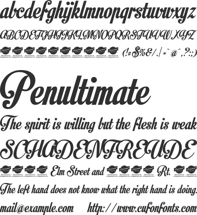 Motion Picture Personal Use font preview
