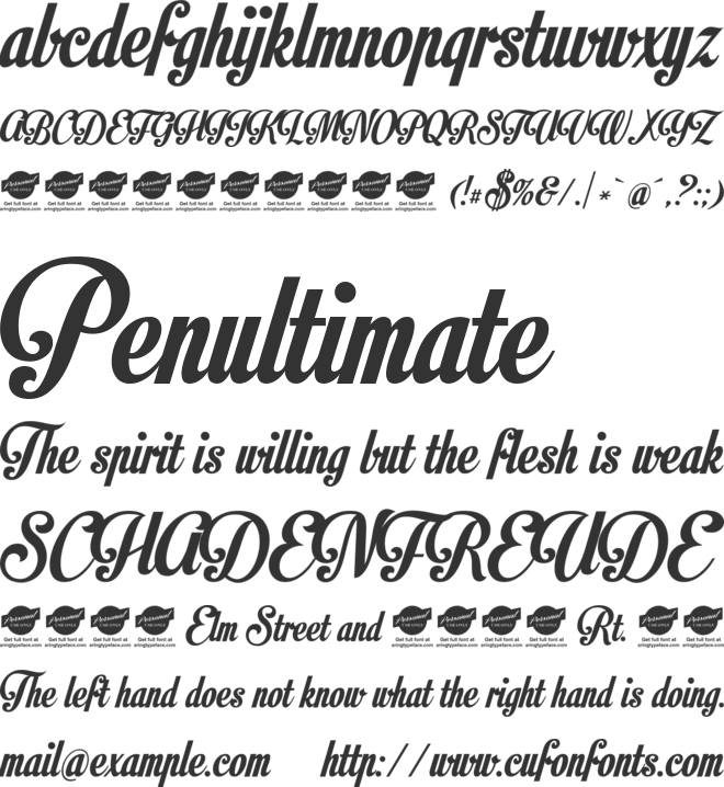 Motion Picture Personal Use font preview