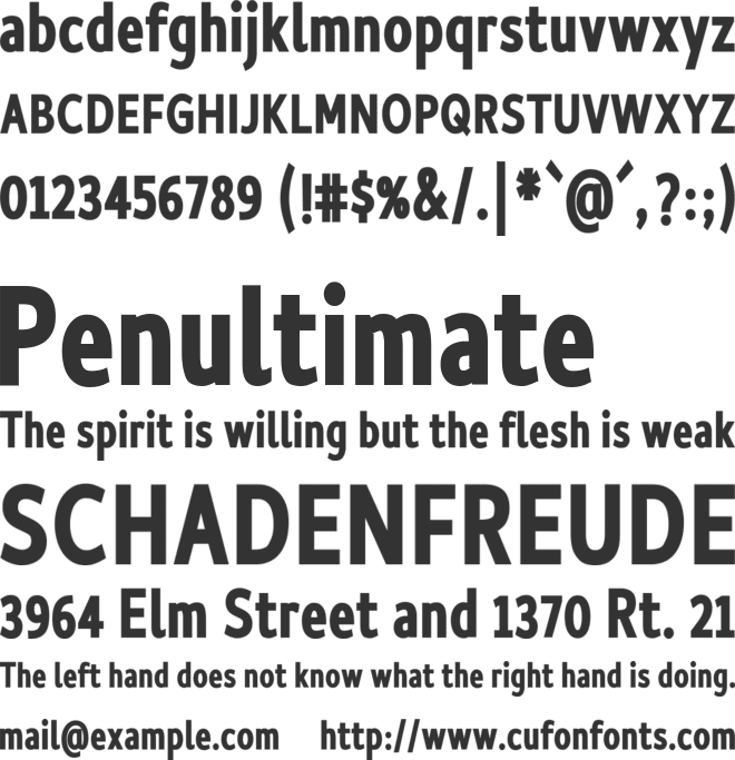 My Round Fonts Collection font preview