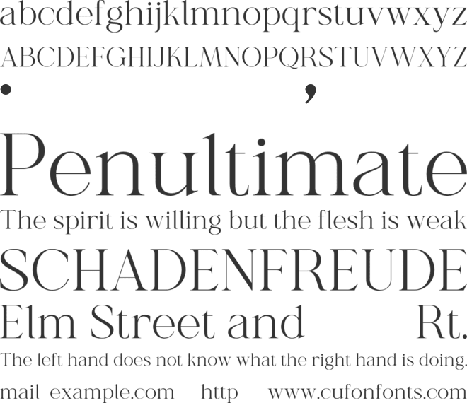 Shanell font preview