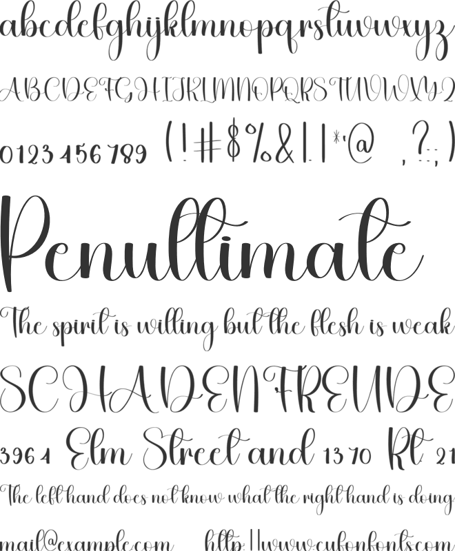 Fantastic Wedding font preview