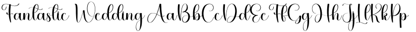 Fantastic Wedding font