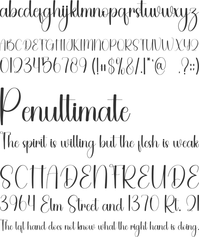 Christmas Opening font preview