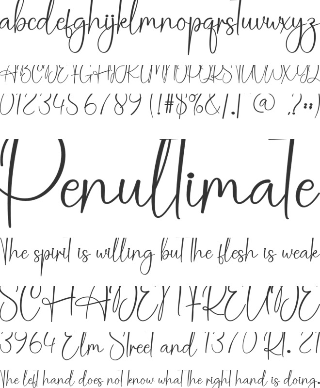 Morning Christmas font preview