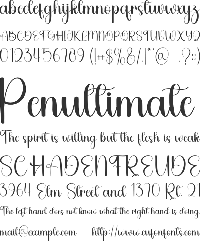 Elegant Amsterdam font preview