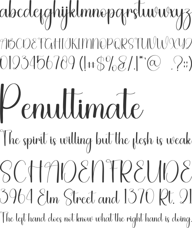 Winter Bear font preview