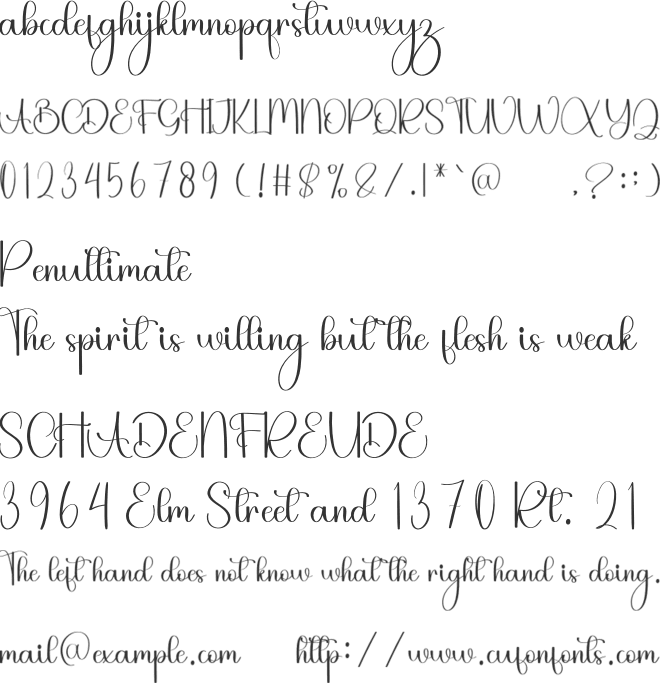 Sandwich Panel font preview