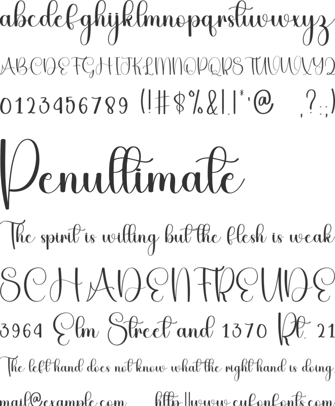 Paradise Highland font preview