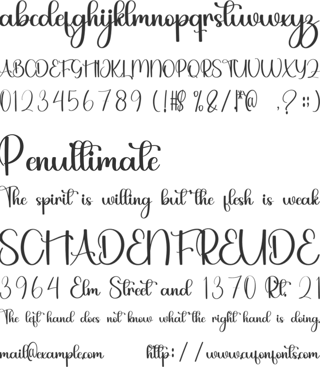 Booming Economy font preview