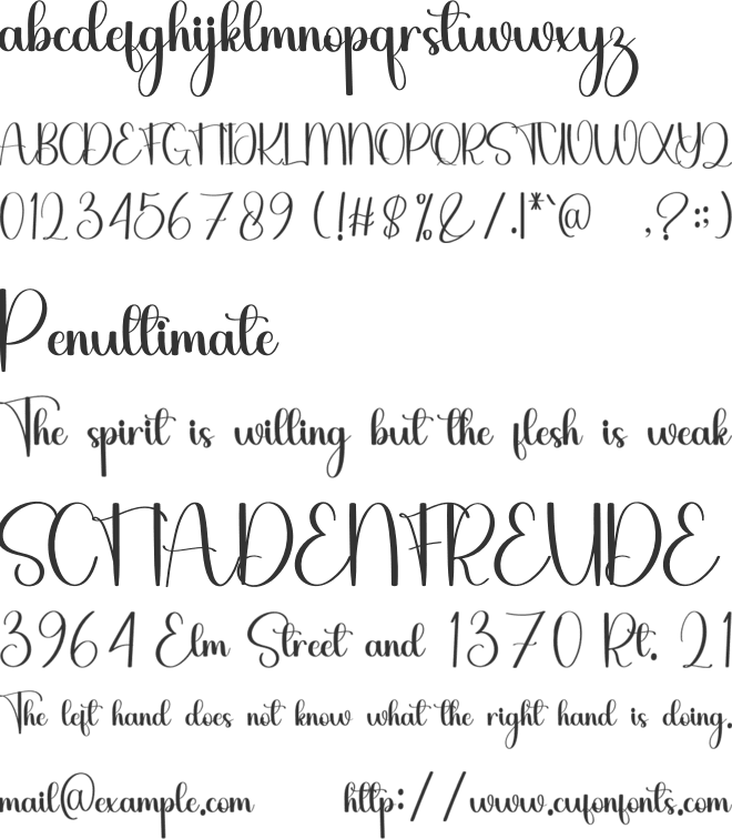 Beautiful Vintage font preview