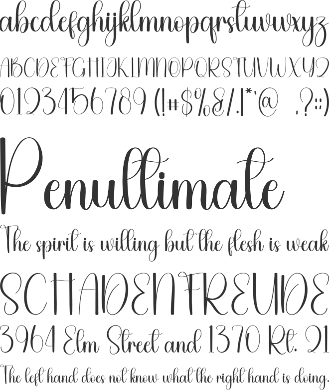 Excited Christmas font preview