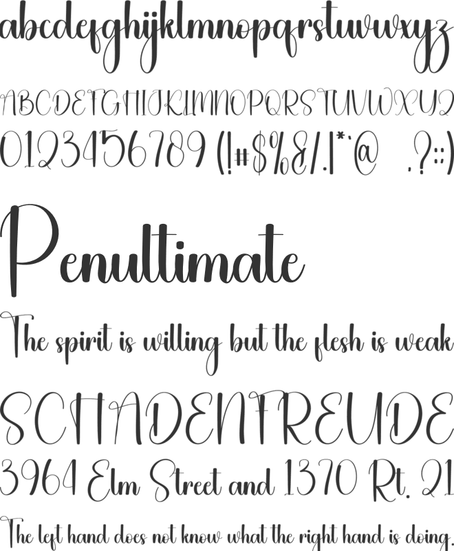 December Dump font preview