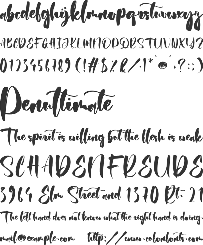 Baitum Samita font preview