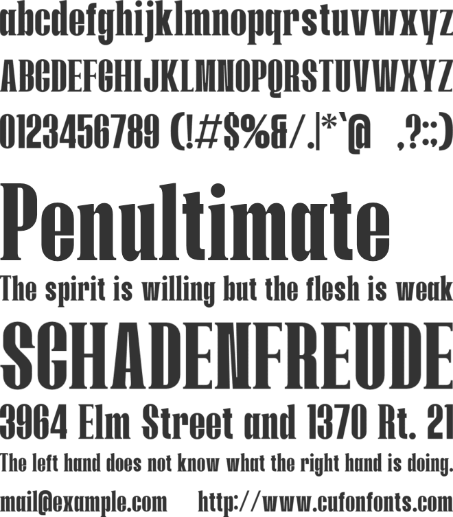 Negire font preview