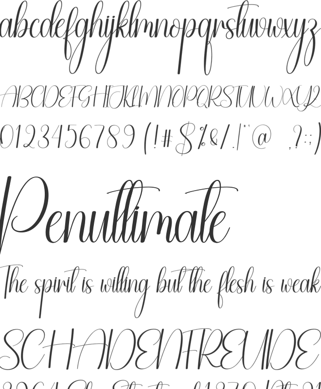 Beauty Christmas font preview