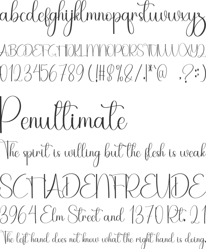 Winter Tropical font preview