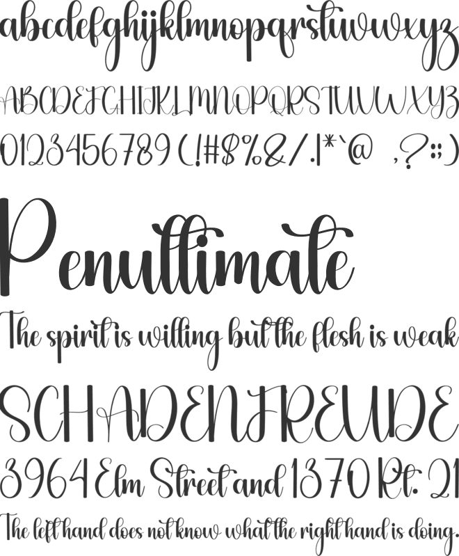 Happy Bridesmaid font preview