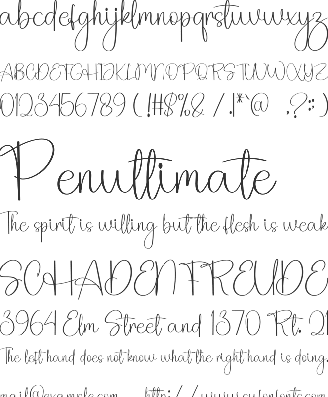 Branding Magnolia font preview