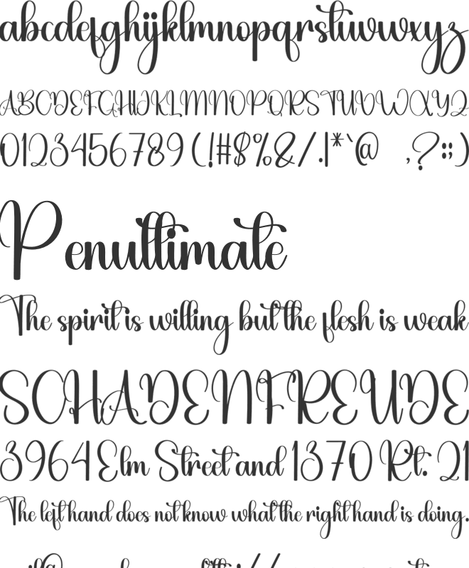 Holiday Beach font preview