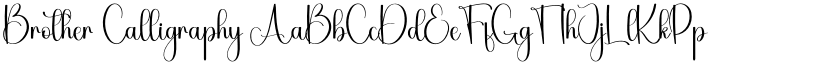 Brother Calligraphy font