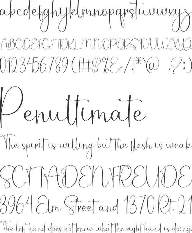 Christmas  Samantha font preview